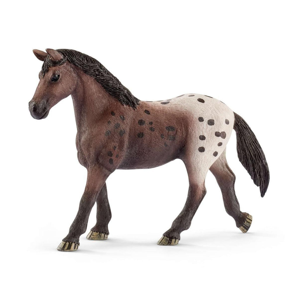 SCHLEICH 13861 Appaloosa Mare Figure - TOYBOX Toy Shop