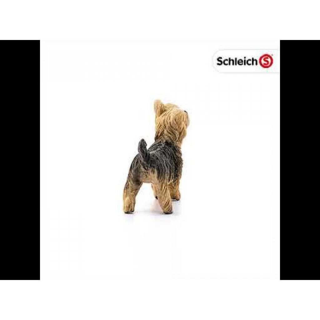 SCHLEICH 13876 Yorkshire Terrier Dog Figure - TOYBOX Toy Shop