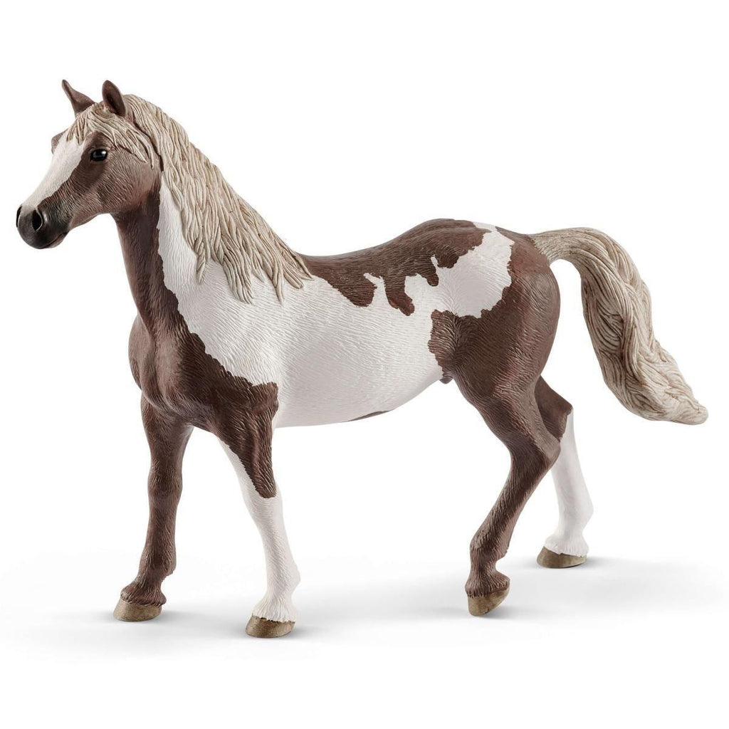 SCHLEICH 13885 Club Paint Horse Gelding Figure - TOYBOX Toy Shop