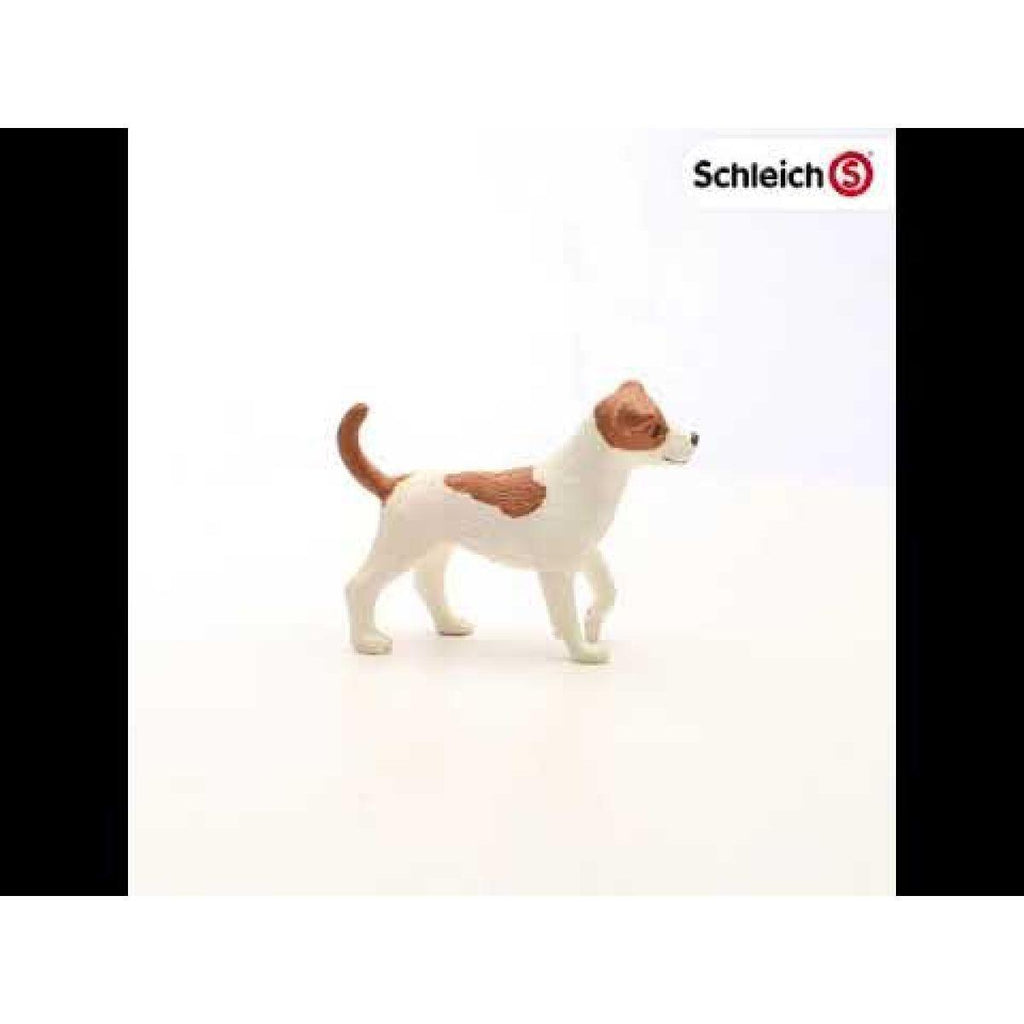 Schleich 13916 Jack Russell Terrier Figure - TOYBOX Toy Shop