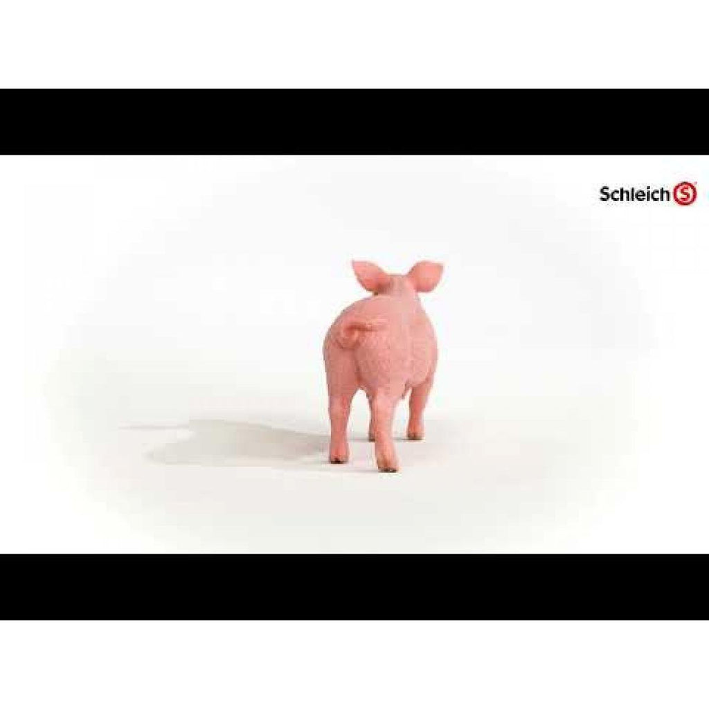 SCHLEICH 13933 Pig Figure - TOYBOX Toy Shop
