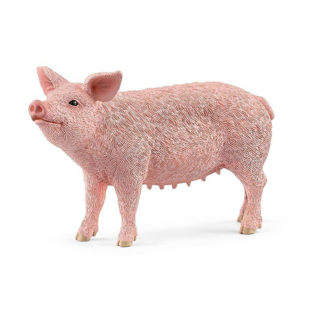 SCHLEICH 13933 Pig Figure - TOYBOX Toy Shop