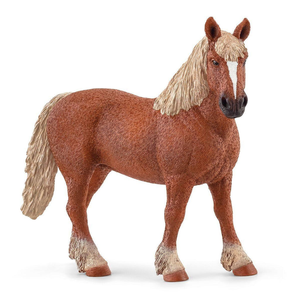 Schleich 13941 Belgian Draft Horse Figure - TOYBOX Toy Shop