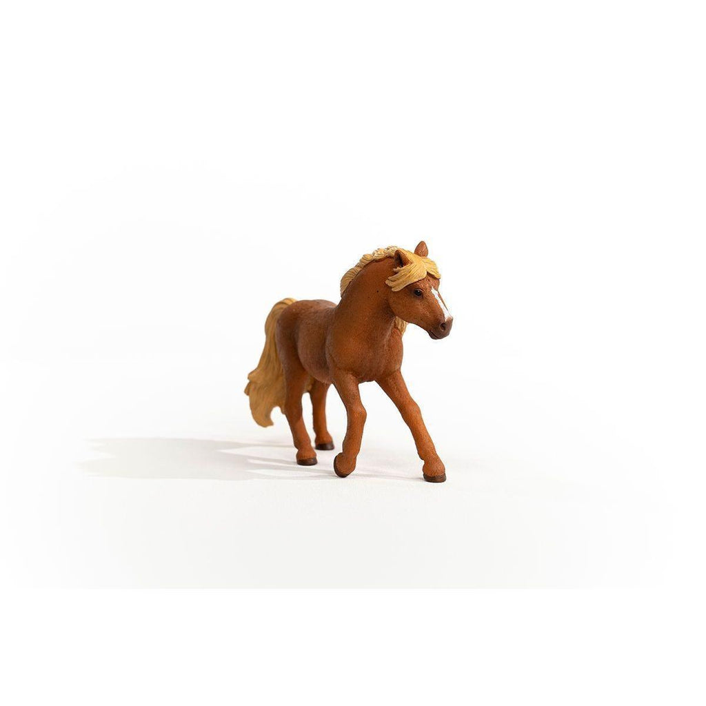 Schleich 13943 Iceland Pony Stallion Figure - TOYBOX Toy Shop