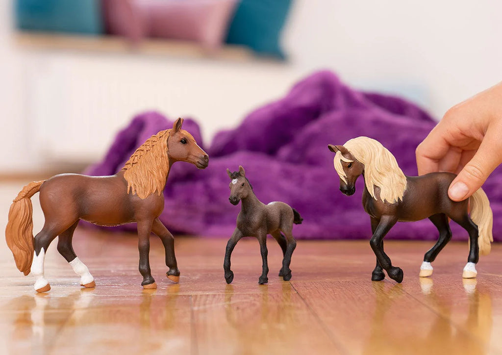 Schleich Paso Peruano Stallion - TOYBOX Toy Shop