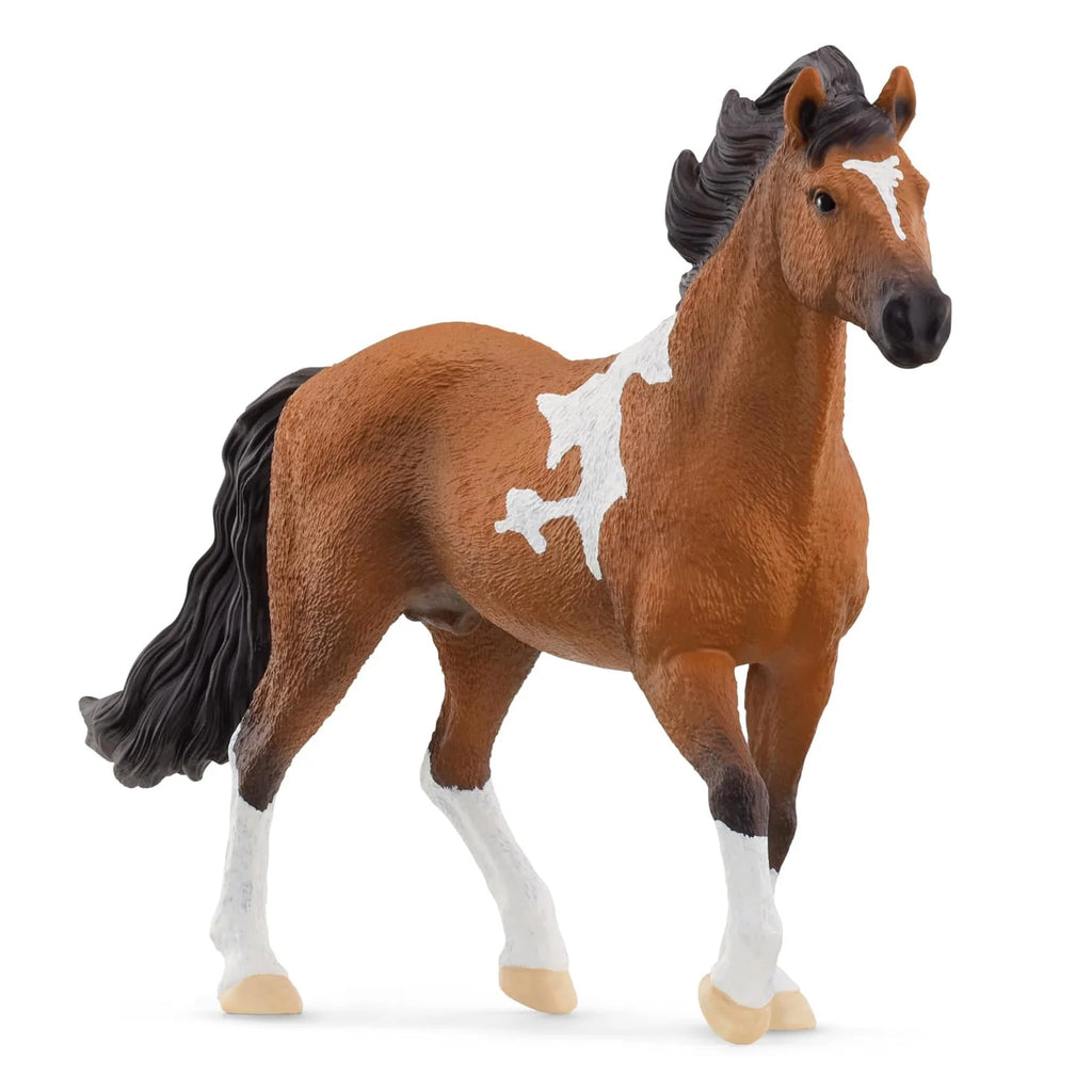 Schleich 13978 Mangalarga Marchador Stallion - TOYBOX Toy Shop