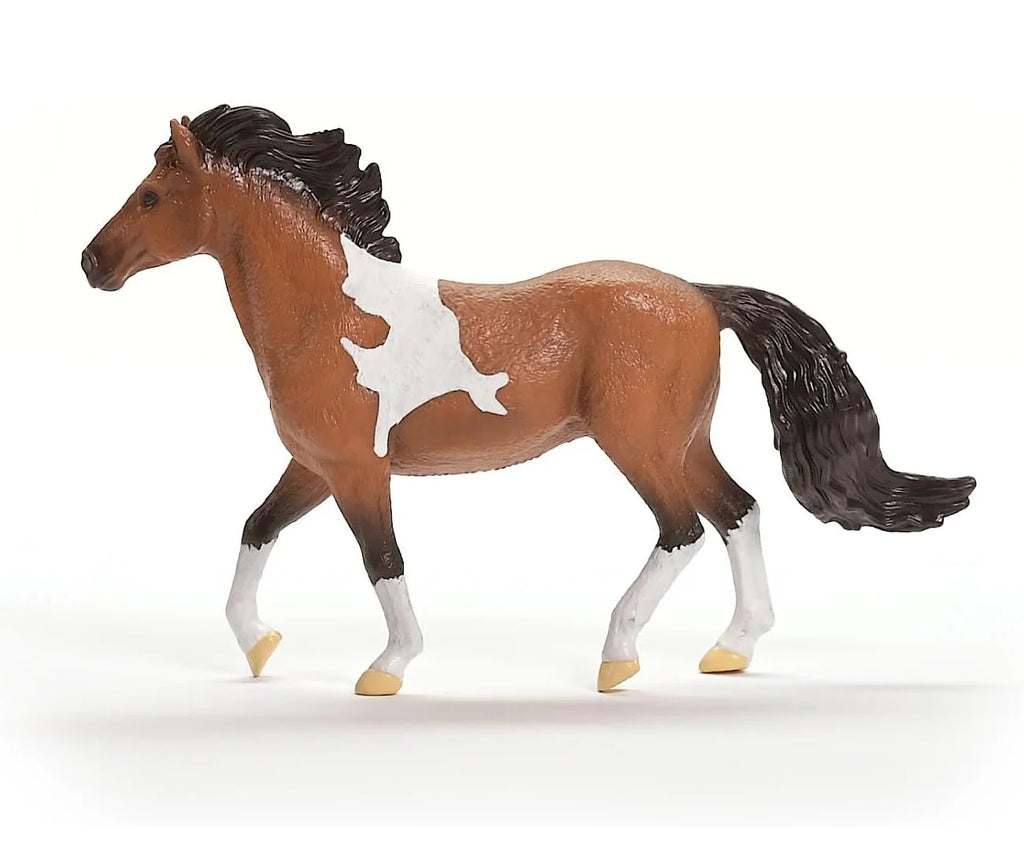 Schleich 13978 Mangalarga Marchador Stallion - TOYBOX Toy Shop