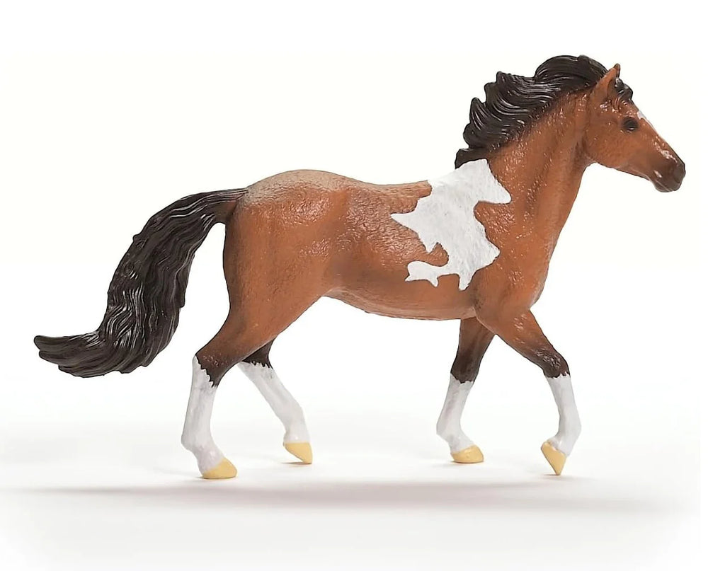 Schleich 13978 Mangalarga Marchador Stallion - TOYBOX Toy Shop