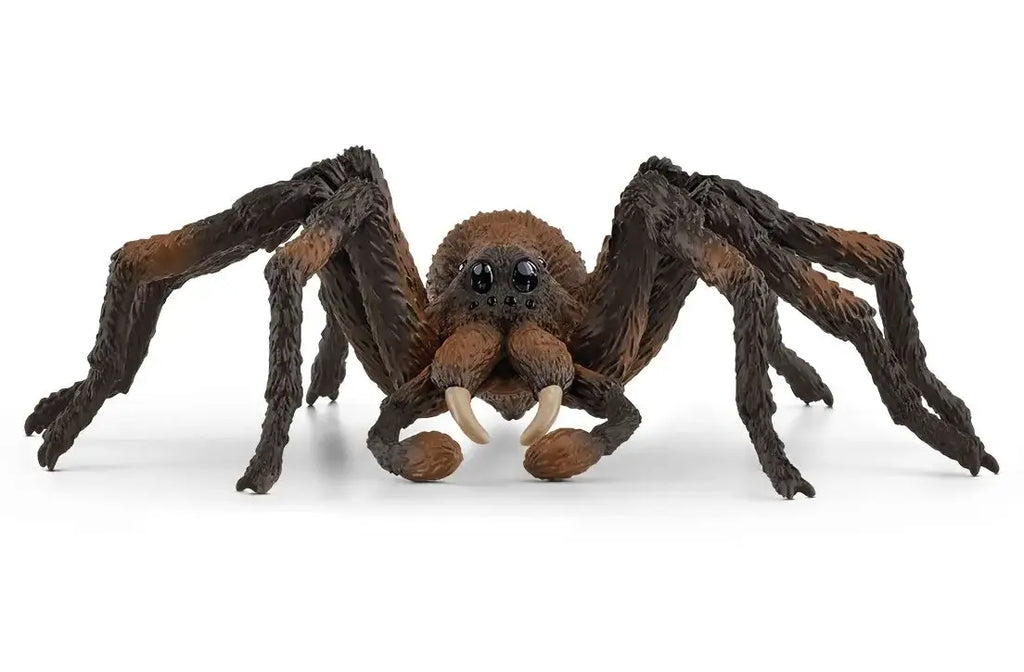 Schleich 13987 Harry Potter Aragog Spider Figure - TOYBOX Toy Shop