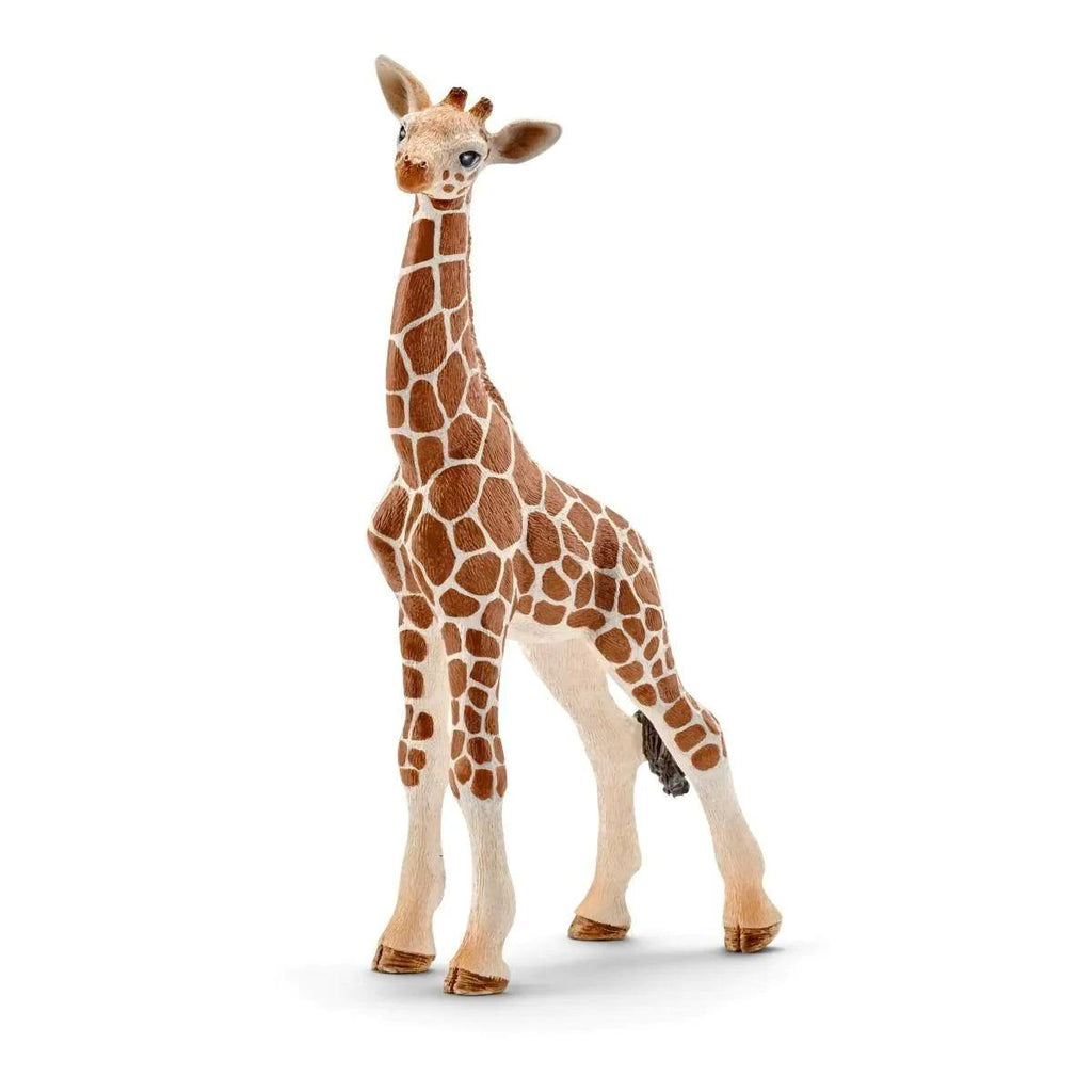 SCHLEICH 14751 Giraffe Calf Figure - TOYBOX Toy Shop