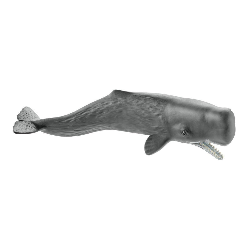 SCHLEICH 14764 Sperm Whale Figure - TOYBOX Toy Shop