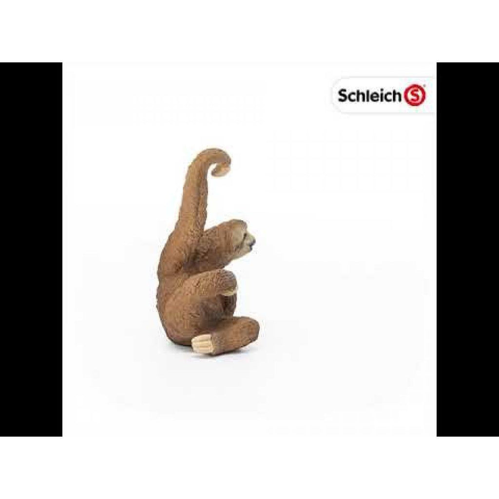 Schleich 14793 Sloth Wild Life Figure - TOYBOX Toy Shop