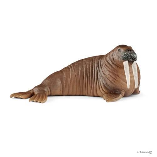 Schleich 14803 Walrus Wild Life Figure - TOYBOX Toy Shop