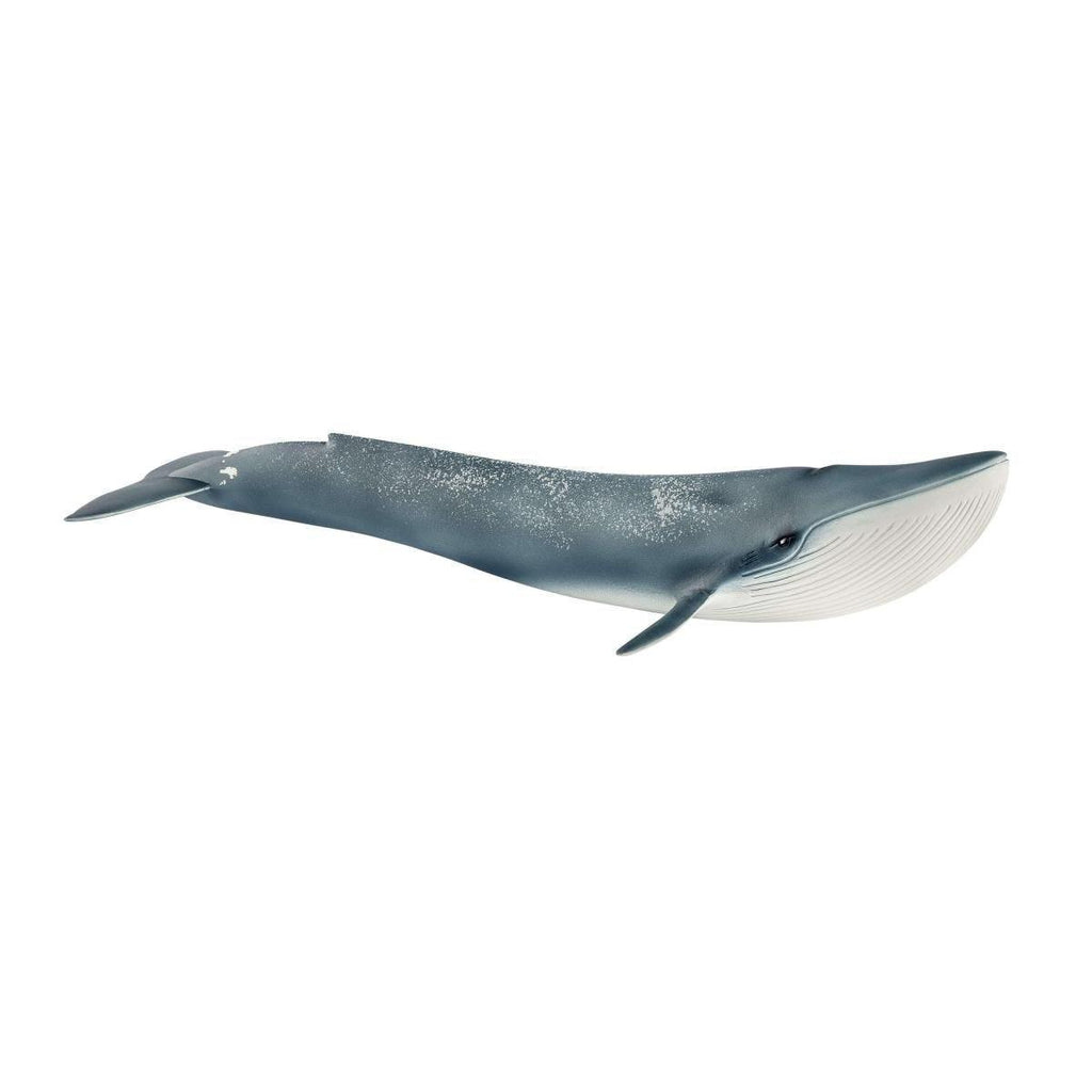 SCHLEICH 14806 Blue Whale Figure - TOYBOX Toy Shop