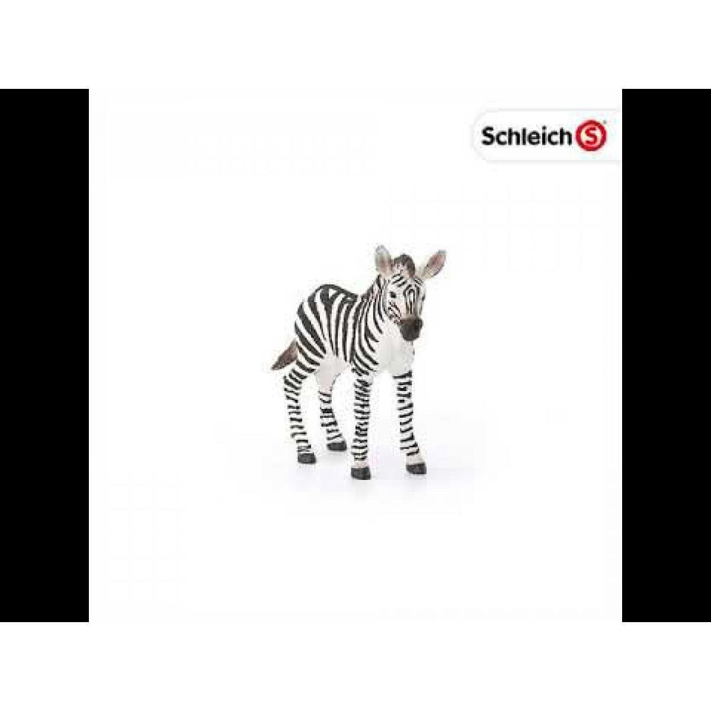 Schleich 14811 Zebra Foal Figure - TOYBOX Toy Shop