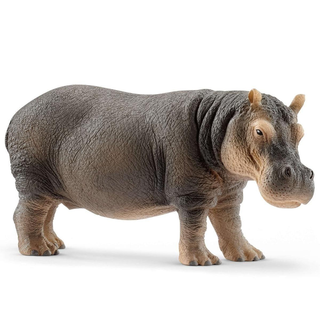 Schleich 14814 Hippopotamus Figure - TOYBOX Toy Shop