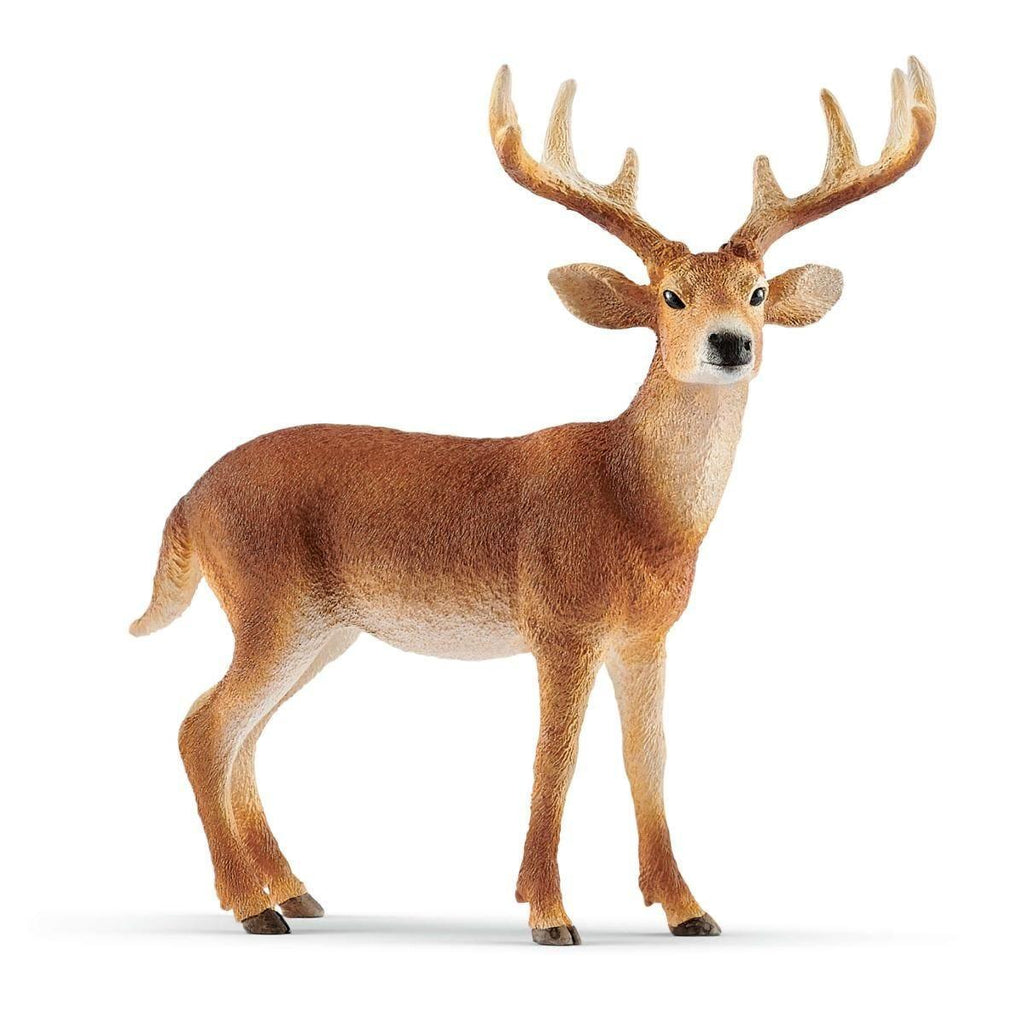 Schleich 14818 White-Tailed Buck Figure - TOYBOX Toy Shop