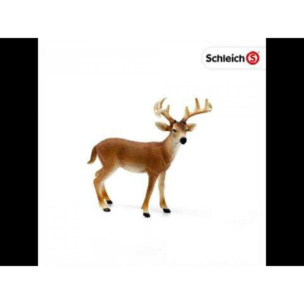 Schleich 14818 White-Tailed Buck Figure - TOYBOX Toy Shop