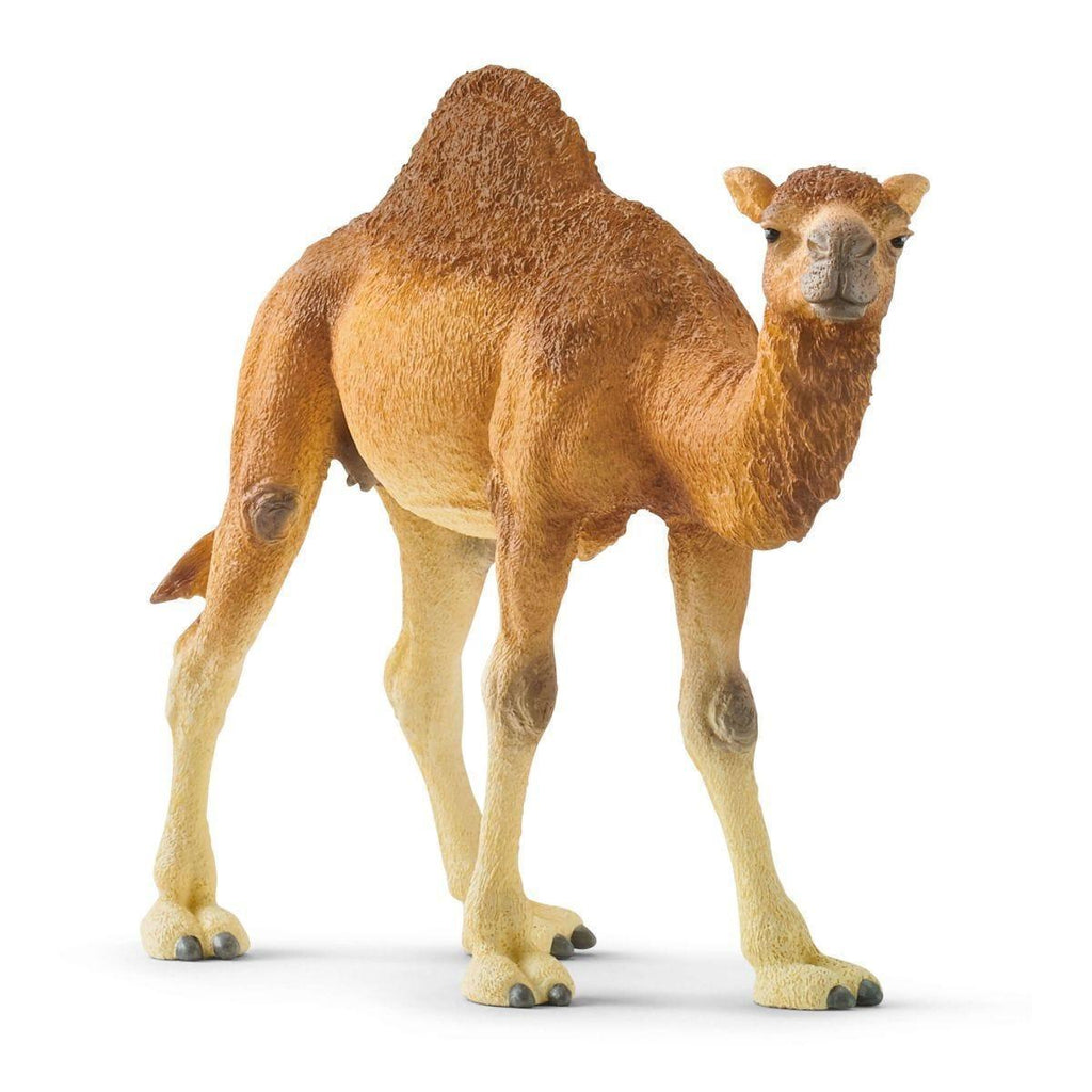 Schleich 14832 Dromedary One-Humped Camel Figure - TOYBOX Toy Shop