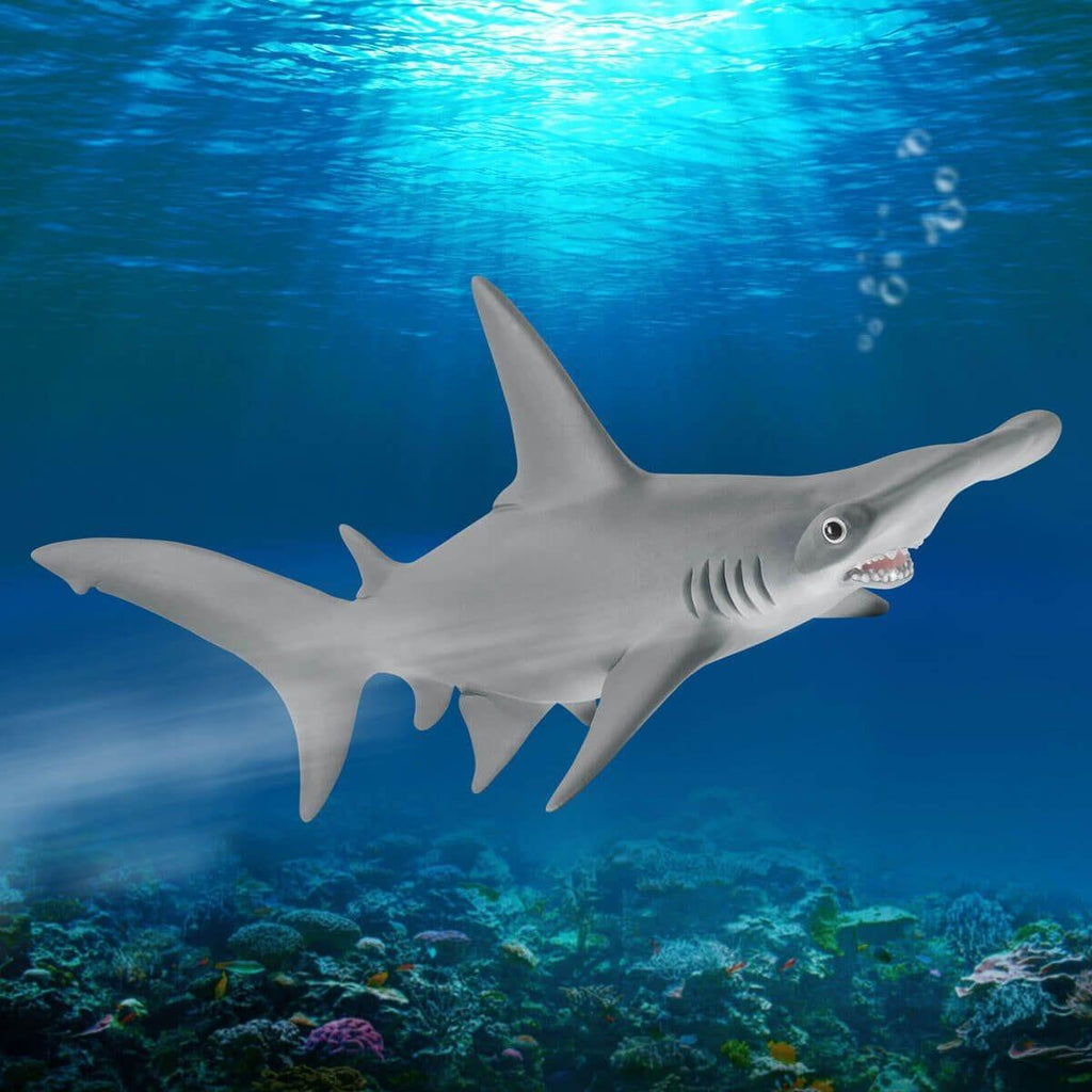 Schleich 14835 Hammerhead Shark Figure - TOYBOX Toy Shop