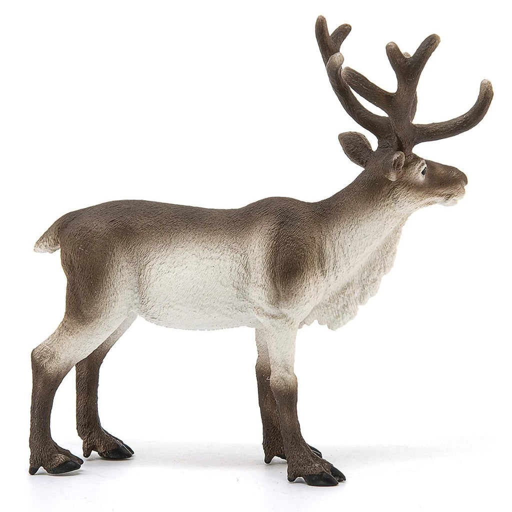 Schleich 14837 Reindeer Wild Life Figure - TOYBOX Toy Shop