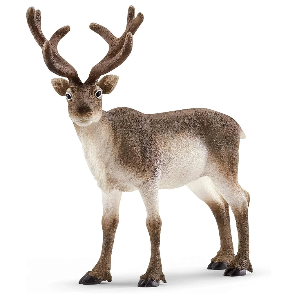 Schleich 14837 Reindeer Wild Life Figure - TOYBOX Toy Shop