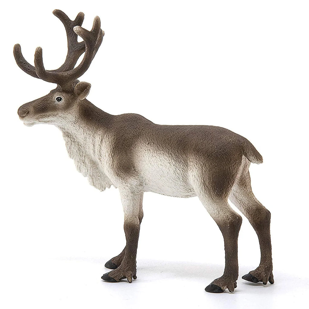 Schleich 14837 Reindeer Wild Life Figure - TOYBOX Toy Shop