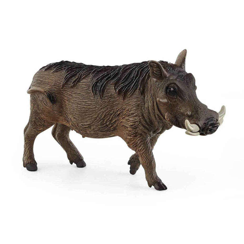 SCHLEICH 14843 Warthog Figure - TOYBOX Toy Shop