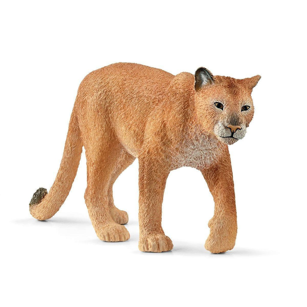 Schleich 14853 Cougar Figure - TOYBOX Toy Shop