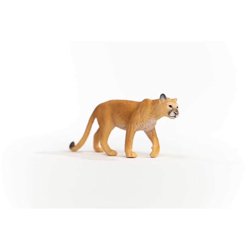 Schleich 14853 Cougar Figure - TOYBOX Toy Shop