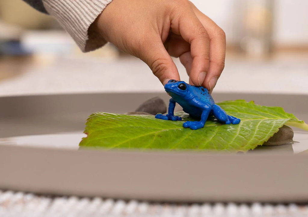 SCHLEICH 14864 Blue Poison Dart Frog - TOYBOX Toy Shop