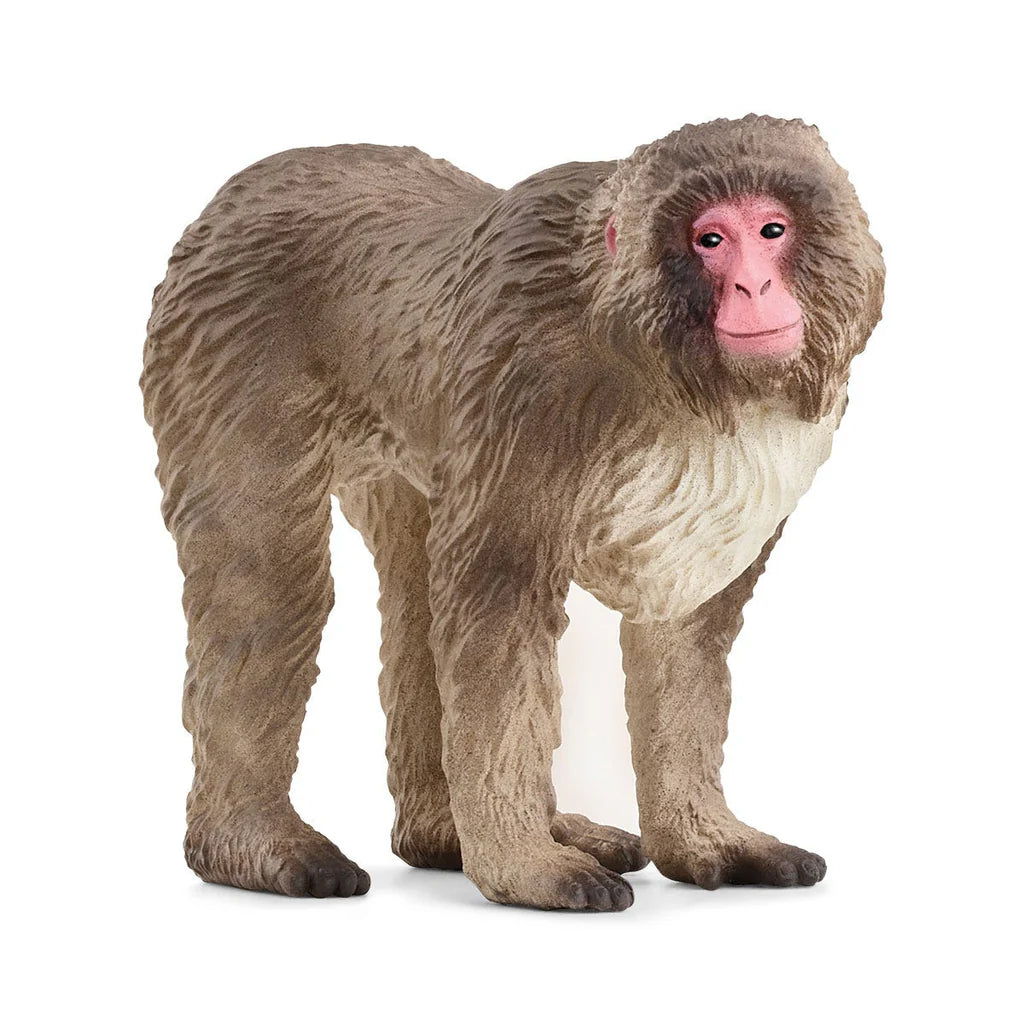 Schleich Japanese Macaque - TOYBOX Toy Shop