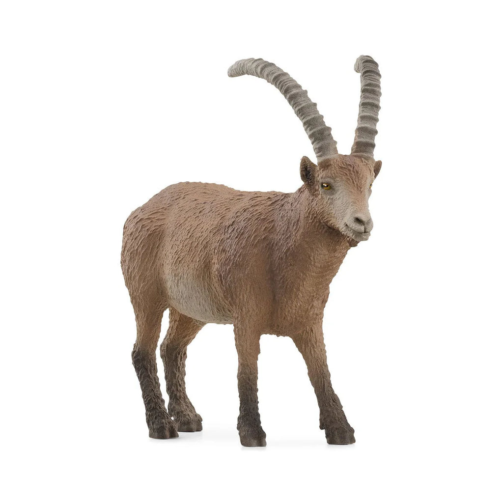 Schleich 14873 Ibex Figure - TOYBOX Toy Shop