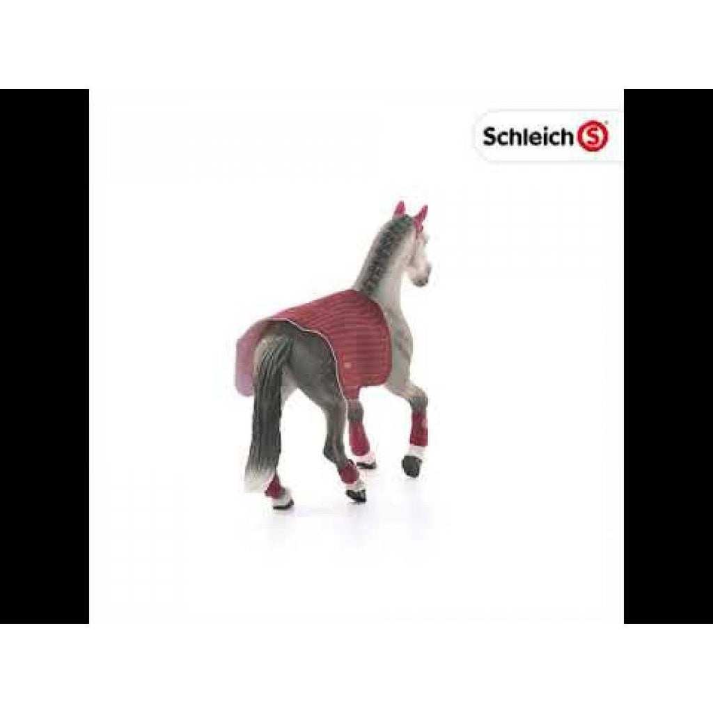 Schleich 42456 Horse Club Trakehner Mare Riding Tournament - TOYBOX Toy Shop