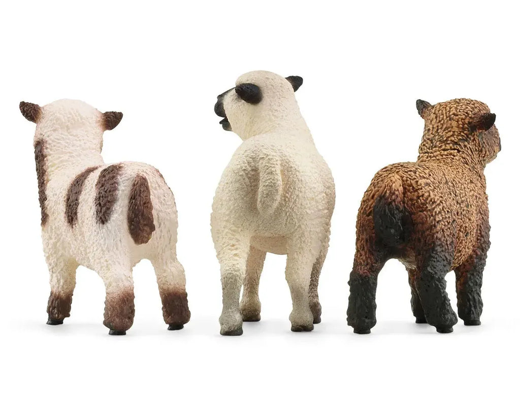 Schleich 42660 Sheep Friends Figures - TOYBOX Toy Shop