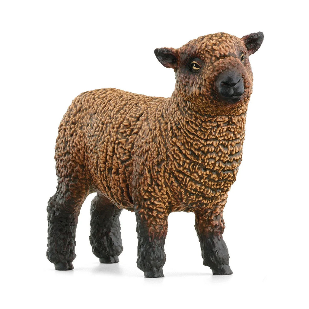 Schleich 42660 Sheep Friends Figures - TOYBOX Toy Shop