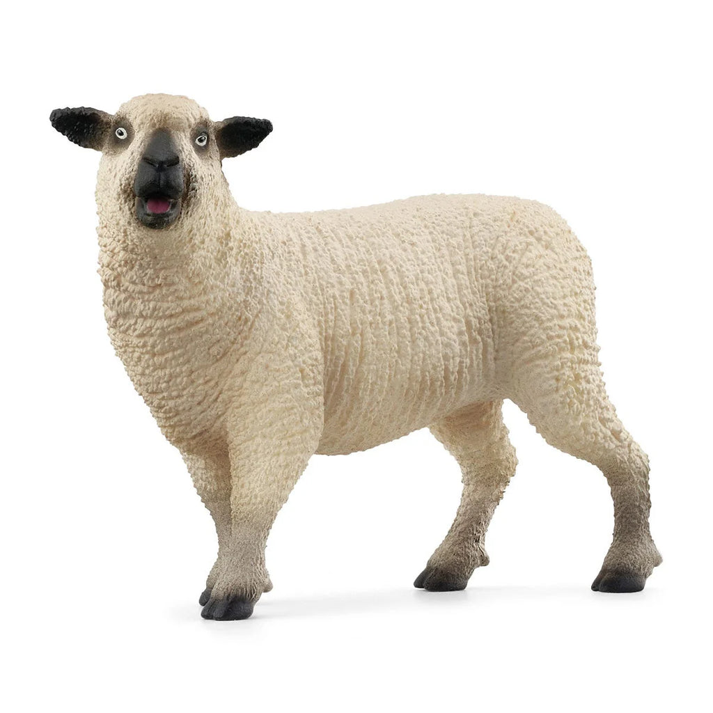 Schleich 42660 Sheep Friends Figures - TOYBOX Toy Shop