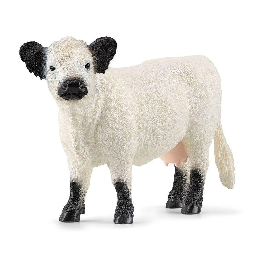 SCHLEICH Galloway Cow Figure - TOYBOX Toy Shop