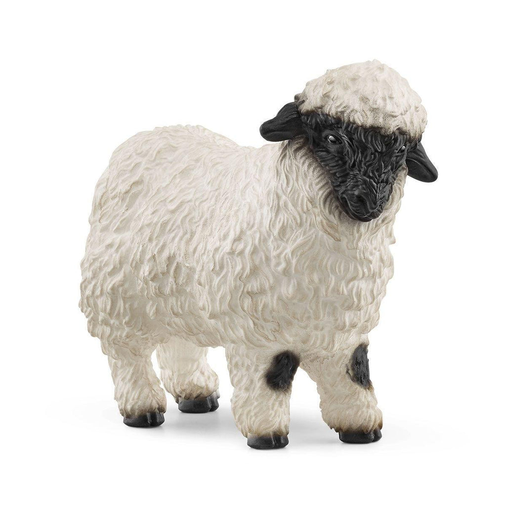 SCHLEICH Valais Black-Nosed Sheep Figure - TOYBOX Toy Shop