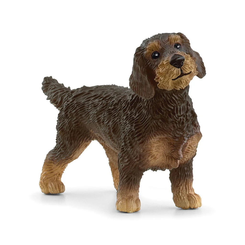 Schleich Wire-Haired Dachshund - TOYBOX Toy Shop