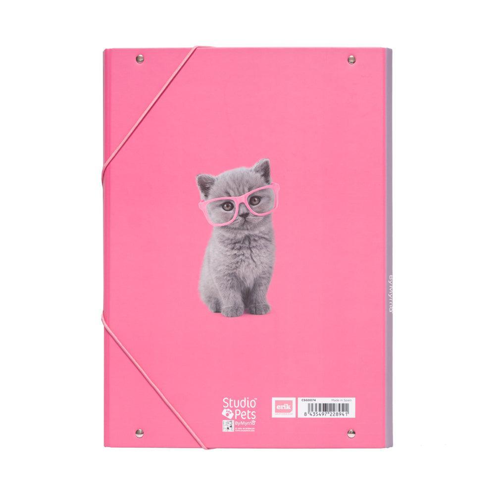 Studio Pets Cats 2019 A4 Elastic Folder - TOYBOX Toy Shop