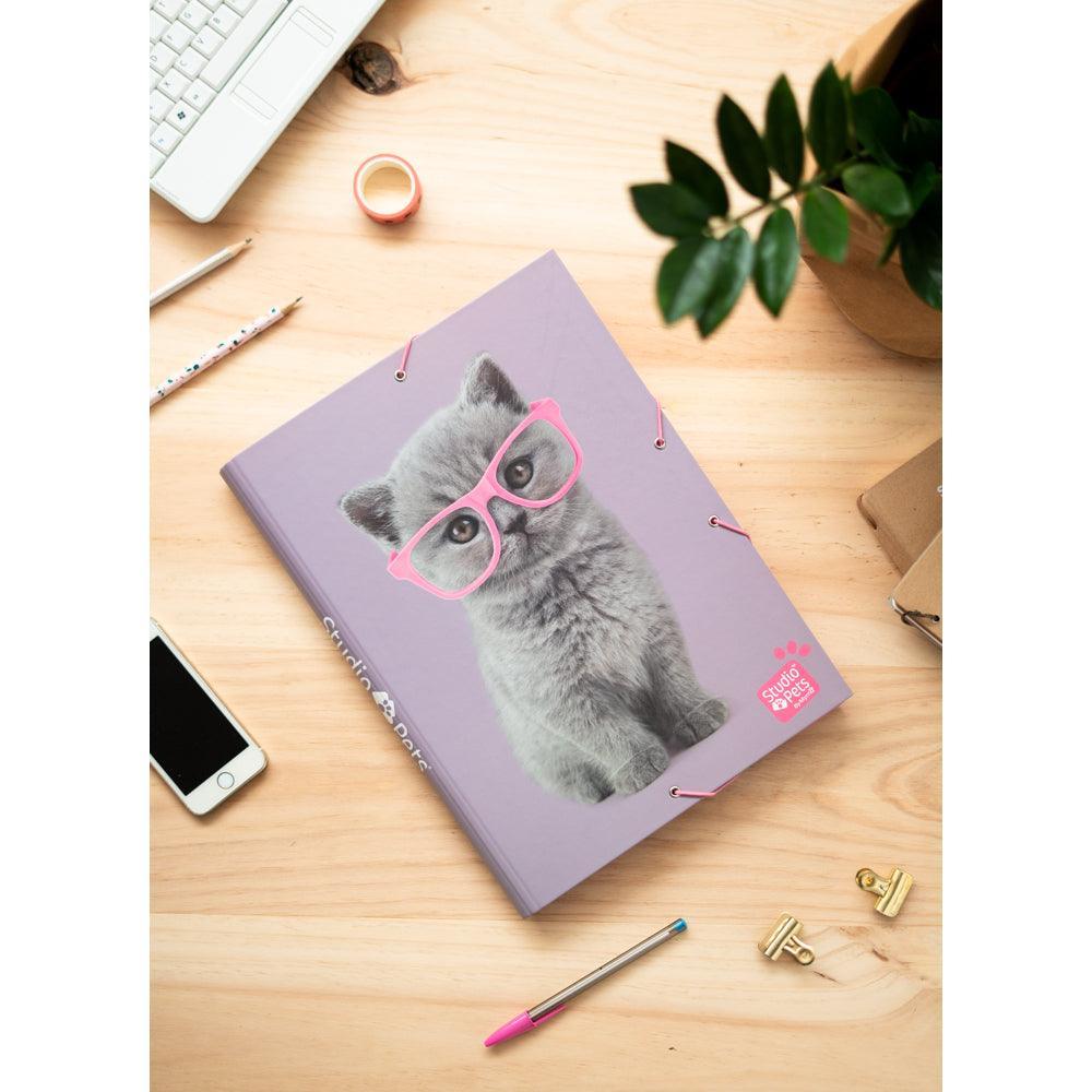 Studio Pets Cats 2019 A4 Elastic Folder - TOYBOX Toy Shop